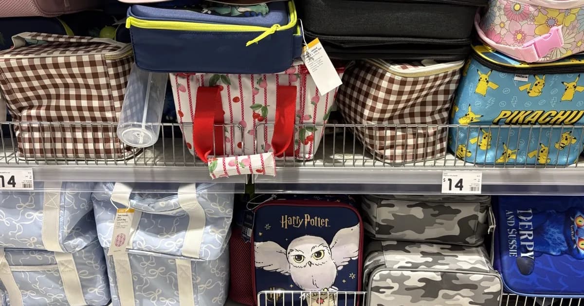 Best Insulated Lunch Bags in NZ (2026): 5 Compared